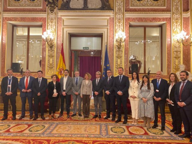 La Asamblea defiende nuevamente en el Congreso de los Diputados la eliminación de los aforamientos - 5, Foto 5