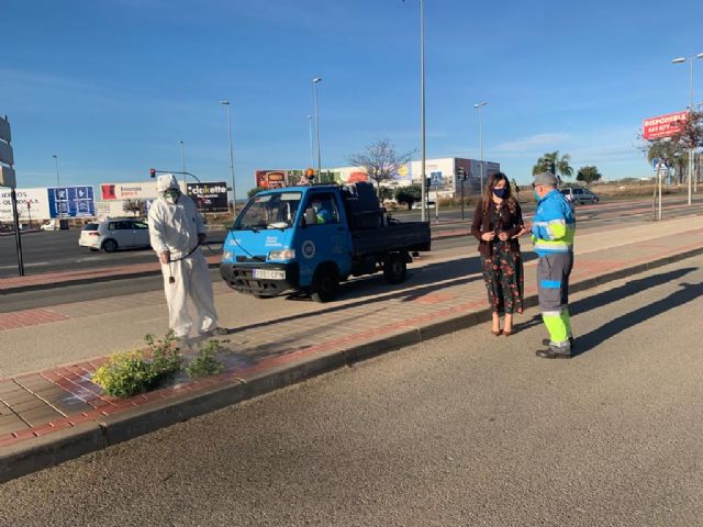 Finaliza el plan especial de limpieza para eliminar las malas hierbas de espacios peatonales - 2, Foto 2