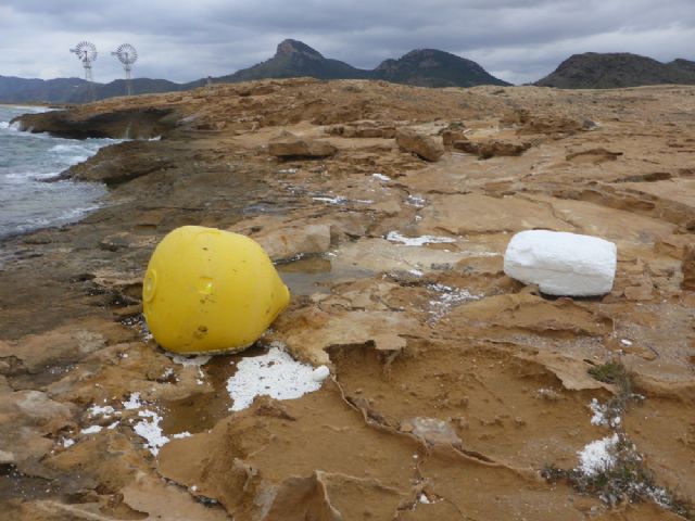 Denuncian la llegada de abundantes restos de plantas de acuicultura a las playas del Parque Regional de Calblanque - 2, Foto 2