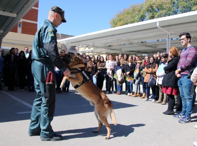 La Guardia Civil recibe la visita de alumnos de Criminología de la UMU - 2, Foto 2