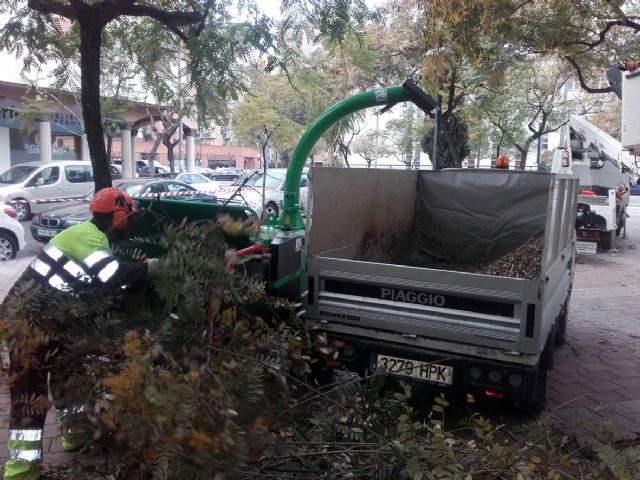 Parques y Jardines comienza a usar una biotrituradoras para reutilizar los restos de las ramas podadas como abono - 1, Foto 1