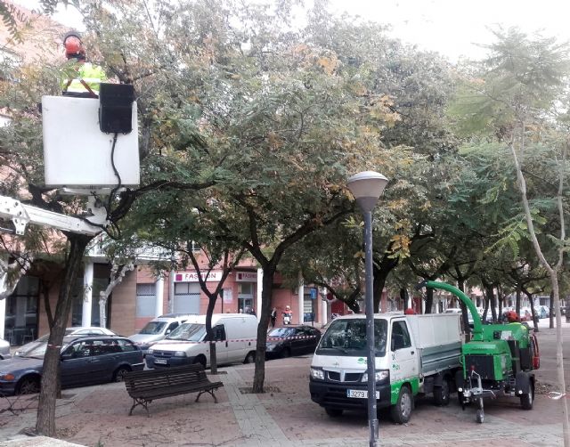 Parques y Jardines comienza a usar una biotrituradoras para reutilizar los restos de las ramas podadas como abono - 2, Foto 2