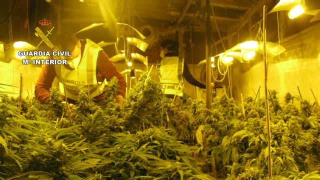 La Guardia Civil desmantela un invernadero dedicado al cultivo intensivo de marihuana - 1, Foto 1