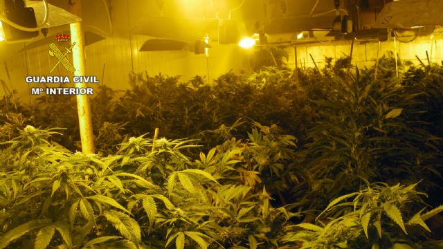 La Guardia Civil desmantela un invernadero dedicado al cultivo intensivo de marihuana - 2, Foto 2
