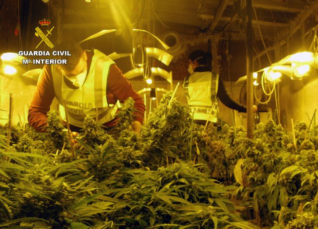 La Guardia Civil desmantela un invernadero dedicado al cultivo intensivo de marihuana - 4, Foto 4