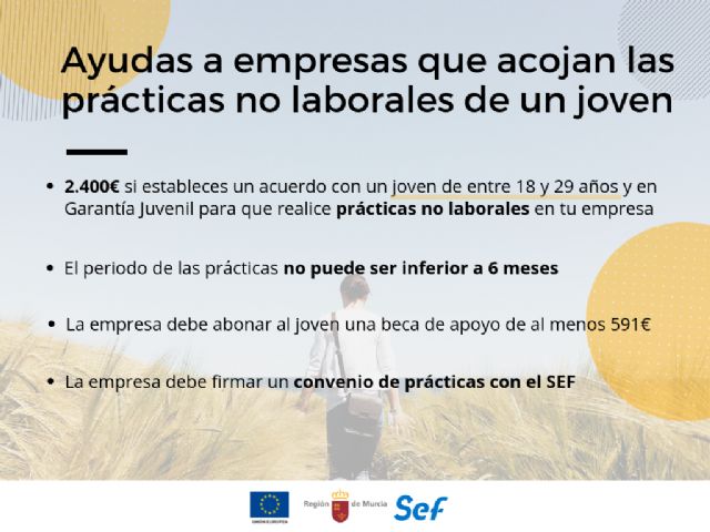 Activada una ayuda de 2.400 euros a empresas que acojan prácticas no laborales de jóvenes - 1, Foto 1