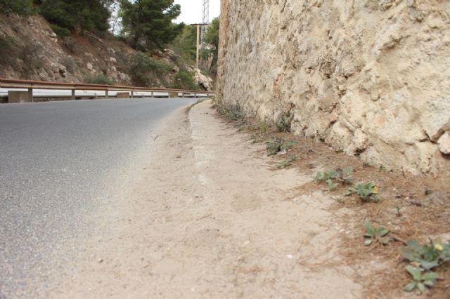 Cs acusa a la Autoridad Portuaria y a Defensa de incumplir sus promesas para crear un carril bici hacia el Faro de Navidad - 5, Foto 5