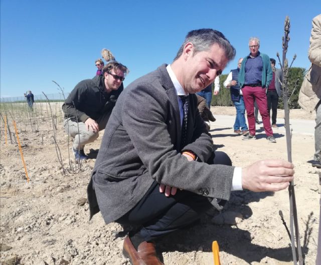 Empresas internacionales se implantan en la Región por su modelo de innovación en la mejora genética de semillas hortícolas - 2, Foto 2