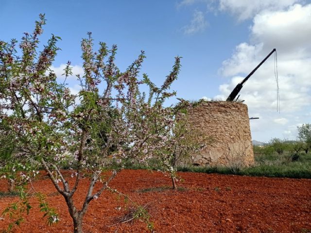 Una doble iniciativa de MC velará por la protección de los molinos de viento cartageneros - 2, Foto 2