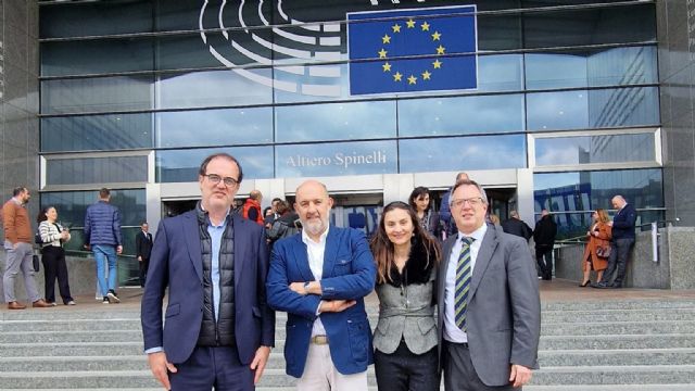 FREMM lleva al Parlamento Europeo la voz de los talleres murcianos frente a las aseguradoras - 1, Foto 1