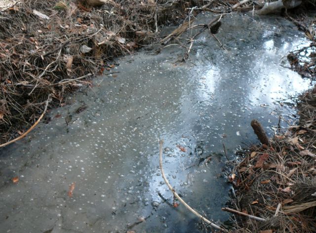 Denuncian un vertido de aguas fecales al arroyo de los Frailes - 2, Foto 2