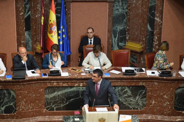 Ciudadanos logra un acuerdo para que las compañías de taxis trasladen a las víctimas de violencia de género que carezcan de recursos - 1, Foto 1