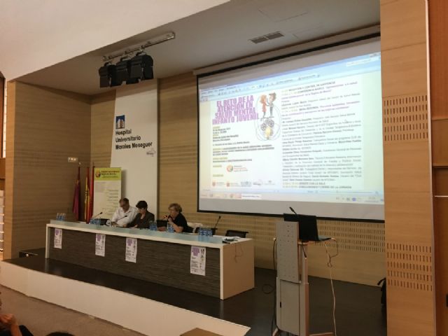 170 profesionales, familiares y afectados se reunen en Murcia para abordar el reto de la atención en salud mental infanto juvenil - 5, Foto 5