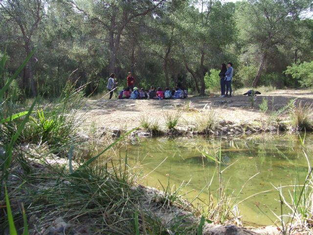 Medio Ambiente organiza talleres, visitas y rutas guiadas y un concierto para conmemorar el Día Europeo de los Parques - 2, Foto 2