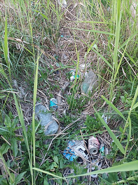 Actividad de limpieza y recogida de residuos en el barranco de Los Cabañiles a su paso por el núcleo urbano - 1, Foto 1