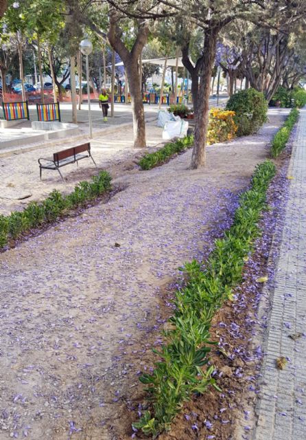 600 nuevas plantas realzan la belleza del recientemente remodelado jardín de San Andrés - 1, Foto 1