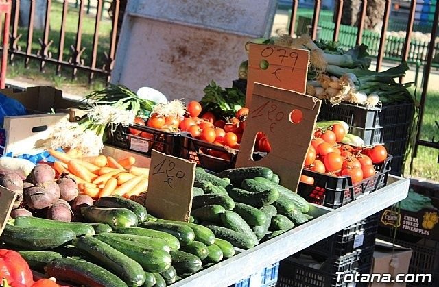 Murcia, tercera región exportadora de frutas y hortalizas frescas a nivel nacional - 1, Foto 1