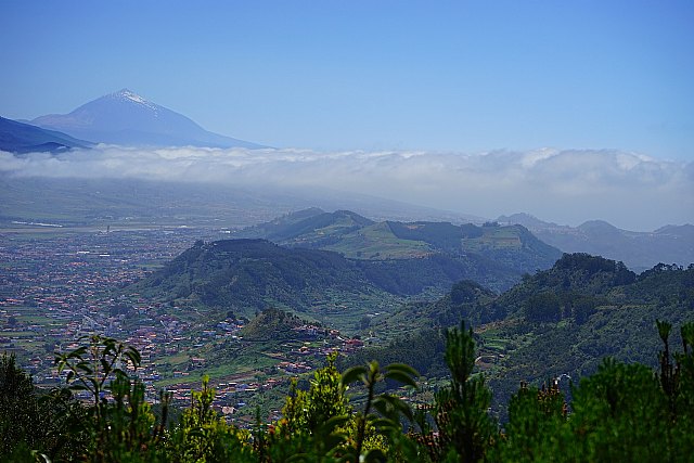 PisobaratoInmobiliaria, una de las inmobiliarias más competentes en Tenerife - 1, Foto 1