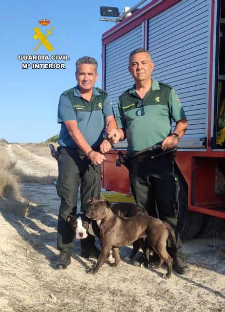 La Guardia Civil rescata a dos perros atrapados en una balsa de riego de Mula - 5, Foto 5