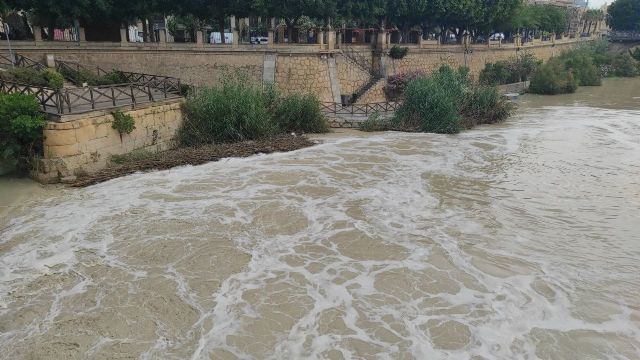 HUERMUR denuncia en el Seprona las espumas del río Segura en Murcia - 1, Foto 1