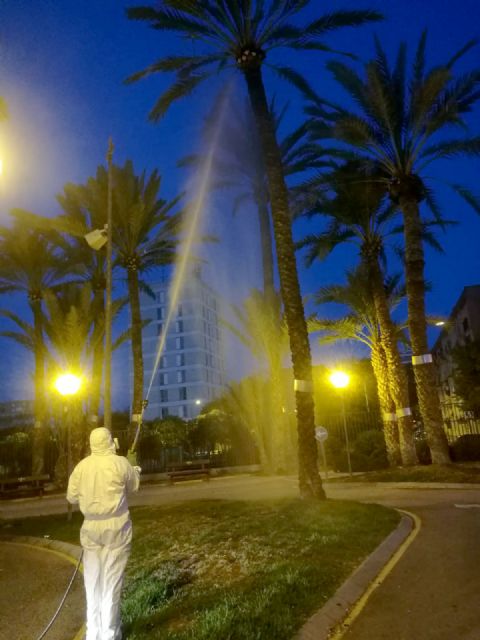 Parques y Jardines intensifica la poda en palmeras y la lucha contra el picudo - 1, Foto 1