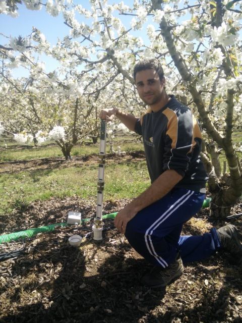 El uso de sensores y drones permite reducir un 45% el riego en verano de los cerezos sin mermar la producción - 1, Foto 1