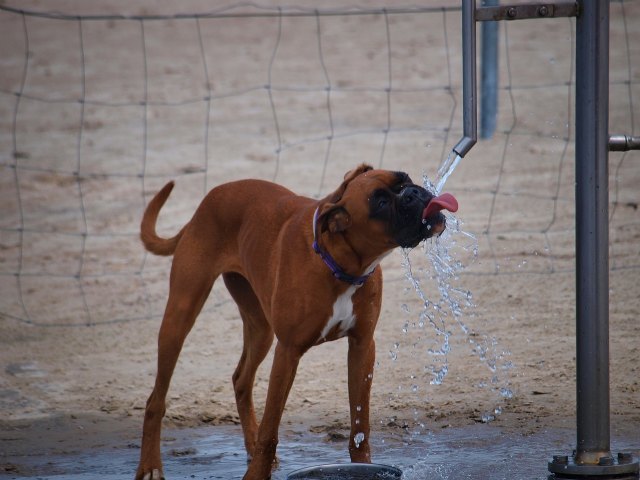 PcComponentes ayuda a evitar golpes de calor tecnológicos en verano con estos sencillos trucos - 1, Foto 1