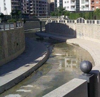 La CHS licita el contrato para el inicio de los estudios del estado de seguridad del encauzamiento del río Segura - 1, Foto 1