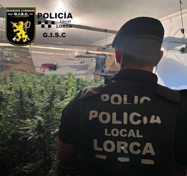 Policía Local desmantela un cultivo de más de 100 plantas de marihuana en una vivienda del barrio de San Lázaro - 1, Foto 1