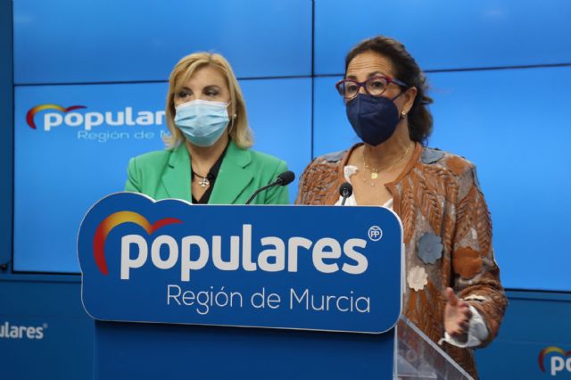 Borrego: Esperamos que los PGE recojan los compromisos ineludibles y no supongan más castigo para la Región de Murcia - 1, Foto 1