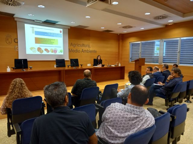 La producción de cítricos en la Región caerá un 13,6 por ciento por el aumento de los costes de producción y las inclemencias meteorológicas - 1, Foto 1