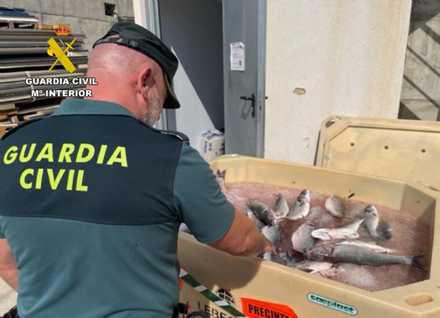 La Guardia Civil detiene a los presuntos autores de sustraer lubinas en una piscifactoría de Águilas - 1, Foto 1