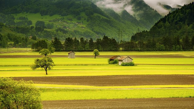 El mundo rural se moviliza de nuevo y se lanza a una campaña masiva de recogida de firmas para proteger la agricultura y la economía rural en España - 1, Foto 1