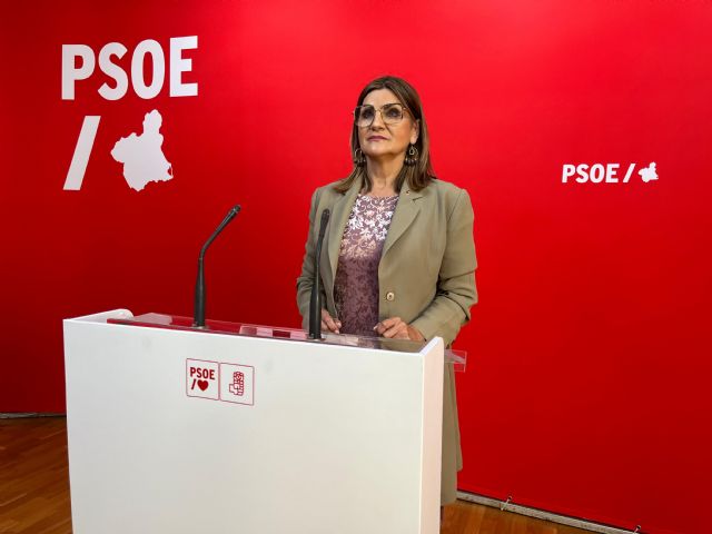 Mariló Flores: El PP no tiene ninguna credibilidad para hablar de infraestructuras y, mucho menos, el señor Bernabé - 1, Foto 1