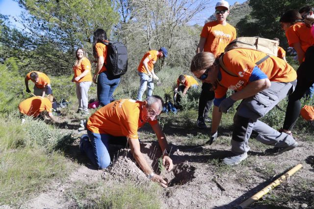 Más de 60 voluntarios del Cartagena Jazz Festival y Soltec han colaborado con Anse en la reforestación del Monte Roldán - 1, Foto 1