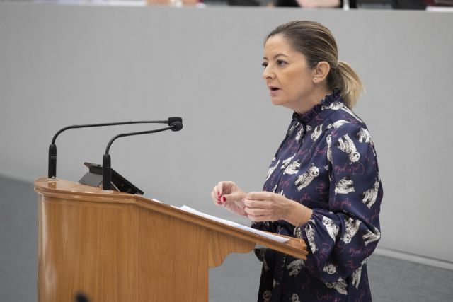 La Asamblea Regional saca adelante el techo de gasto presentado por el Gobierno regional, que irá acompañado de más bajadas de impuestos - 1, Foto 1