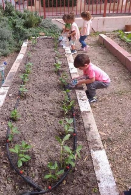 Un total de 57 colegios de la Red de Huertos Escolares recibirán ejemplares de lavanda, mirto y madroño - 1, Foto 1