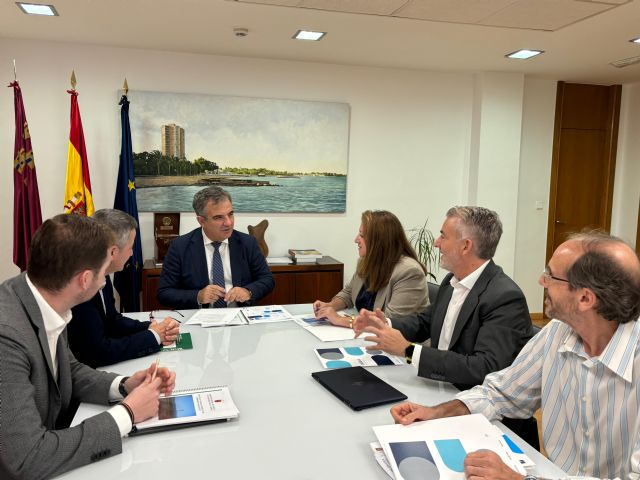 El consejero de Medio Ambiente se reúne con la delegada de Red Eléctrica en la Región - 1, Foto 1