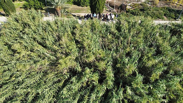 VOX presentará mociones para que la CHS limpie el cauce del río - 1, Foto 1