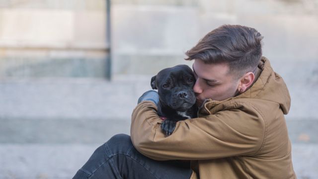 Adopción responsable en épocas de Navidad: Purina ofrece 5 consejos para dar la bienvenida a tu mascota - 1, Foto 1