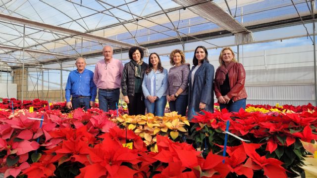 La Comunidad anima a comprar flor de pascua de la Región en la campaña de Navidad - 1, Foto 1