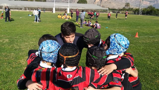 Los partidos del club rugby Totana, en las categoras sub 8 sub 10 y sub 12, se disputaron ayer en Orihuela - 18