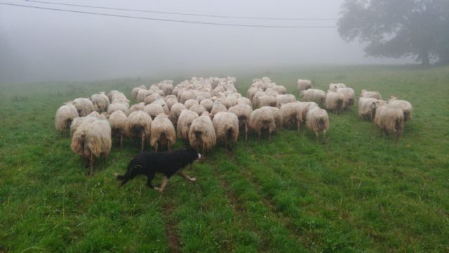 Llamamiento de LORRA para reconocer la labor del Agro vizcaíno en la emergencia sanitaria - 1, Foto 1