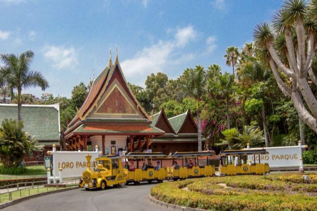 Loro Parque continúa haciendo las presentaciones de animales sin público - 1, Foto 1