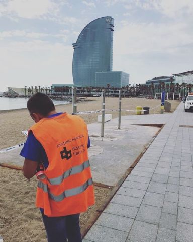 Disseny Barraca, empresa elegida para delimitar todas las playas de Barcelona - 1, Foto 1