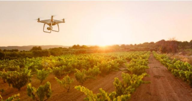 Atos lleva la IA mediante imágenes de drones y satélites a bodegas de Ribera del Duero - 1, Foto 1