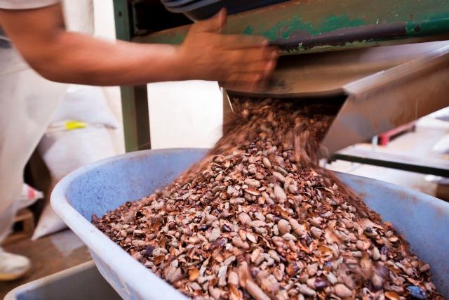 Crece el consumo de chocolate saludable en España, según datos recogidos por Pacari - 1, Foto 1