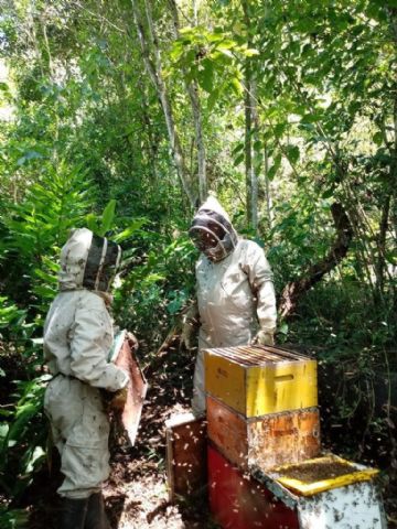 Aristeo Bee Venom desarrolla productos a partir del veneno de las abejas - 1, Foto 1