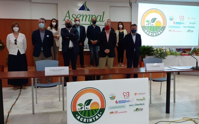 Nace AGRINTAL, Asociación de Empresas Agroalimentarias de Agricultura Intensiva al Aire Libre de Almería - 1, Foto 1