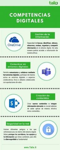 Las 4 competencias del profesional digital por Talio - 1, Foto 1